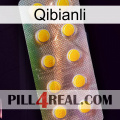 Qibianli new11